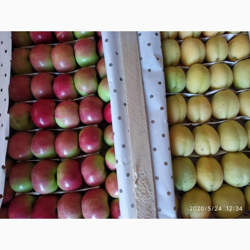 Фото 5. Продам арбуз с холодильника овощи и фрукты от поставщика с Кыкгызтанаа