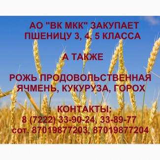АО ВК МКК закупает пшеницу 3, 4, 5 класа в объемах