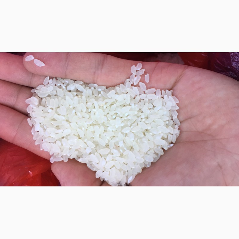 Фото 4. Продаём рис шлифованный