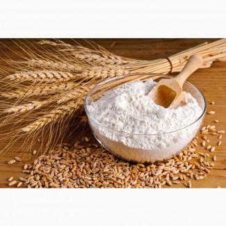 Мука пшеничная оптом от производителя от 128 тг/кг