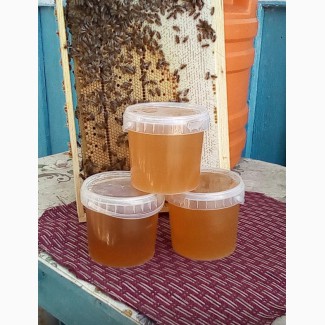 Продаем мед