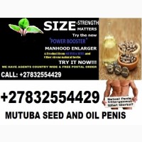 Mutuba seed and oil for penis enlarger from africa +27832554429