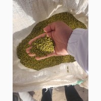 Продам бобы маша от производителя с Такжикистана
