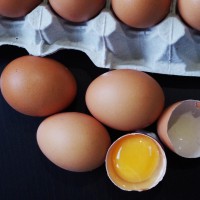 Яйца оптом от производителя