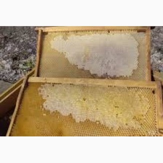 Продаю рамки пчеловодные сушь и маломедные дадан 500 шт., рутовские 500 шт
